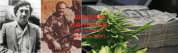 крисы Аркадак