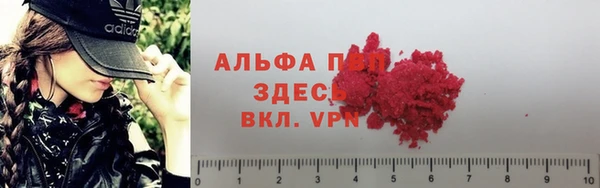 крисы Аркадак