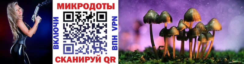 Псилоцибиновые грибы MAGIC MUSHROOMS  KRAKEN зеркало  Дорогобуж 